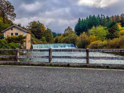 Canva Pro